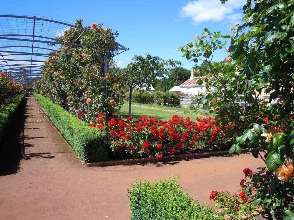 Woolmers Estate Лонґфорд Екстер'єр фото